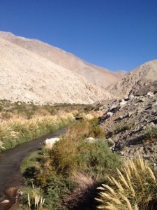 Huasco River valley